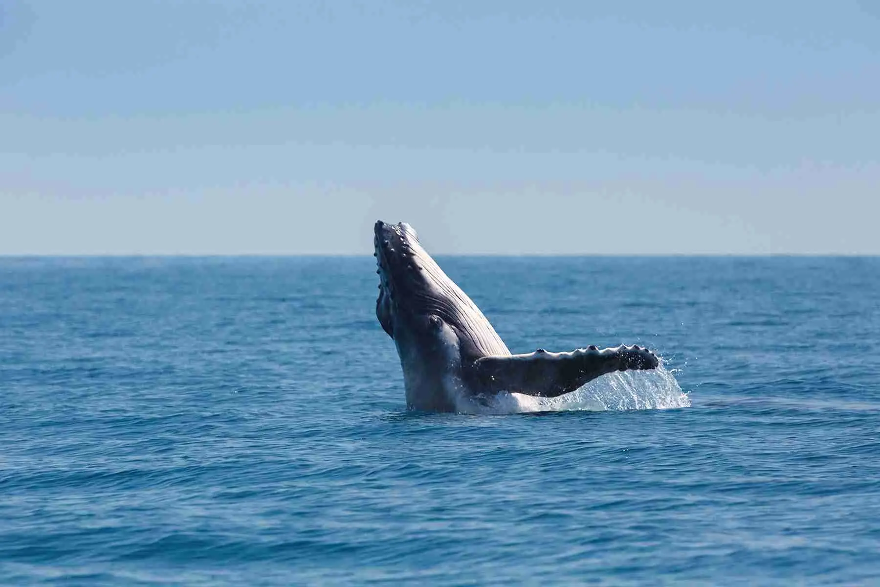 Tasman Holiday Parks Fraser Coast Tourism Events Queensland