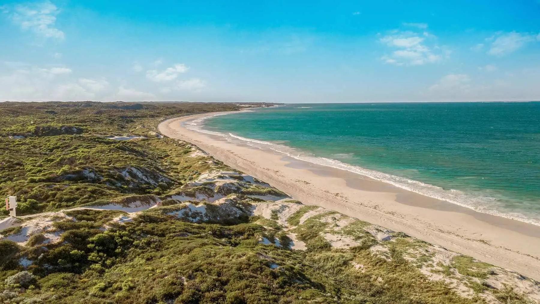 THP Ledge Point Stock Destination DJI