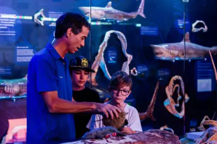 Marine discovery centre hastings point