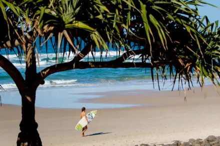 THP Ballina Destination