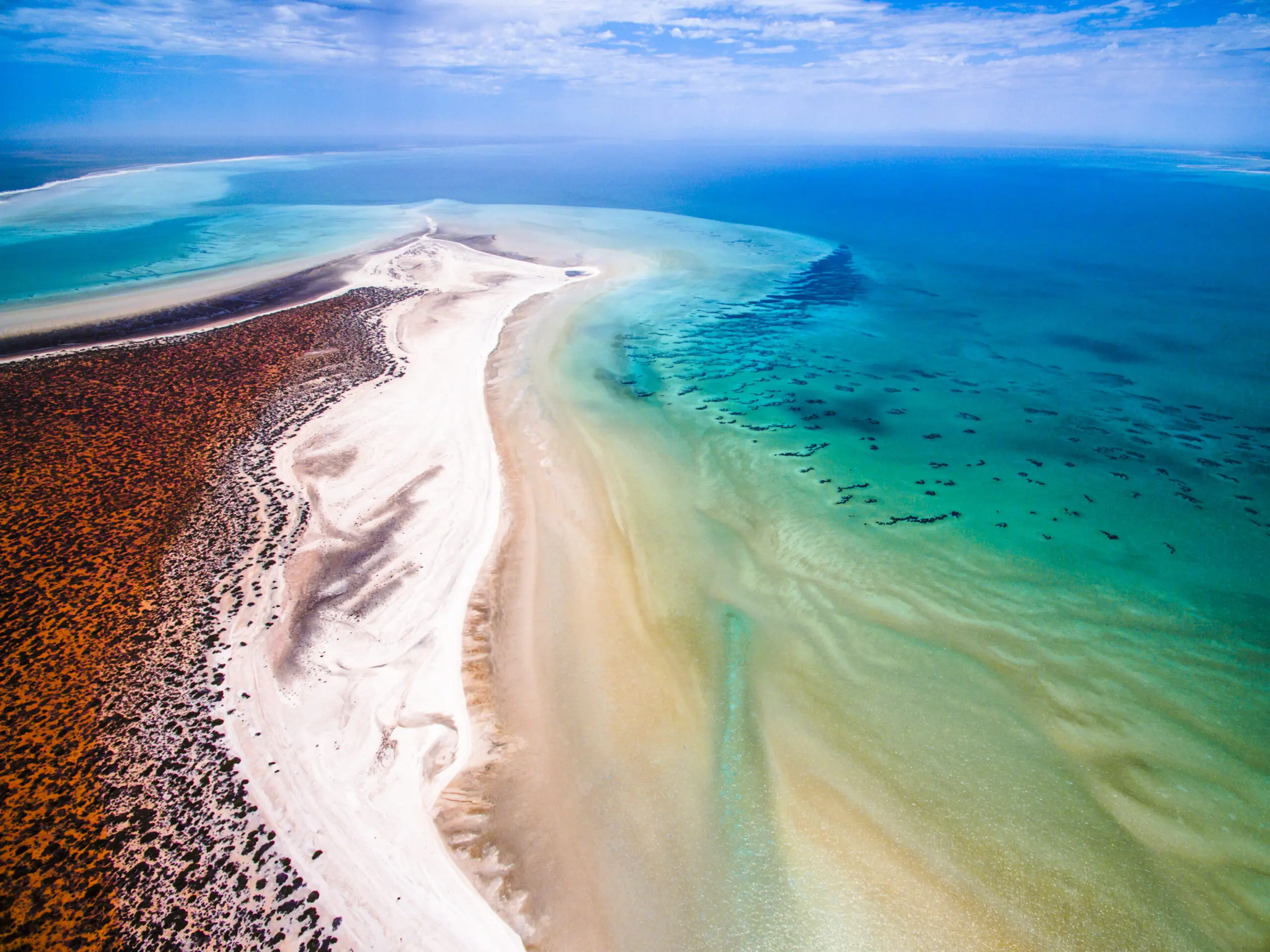 Shark Bay